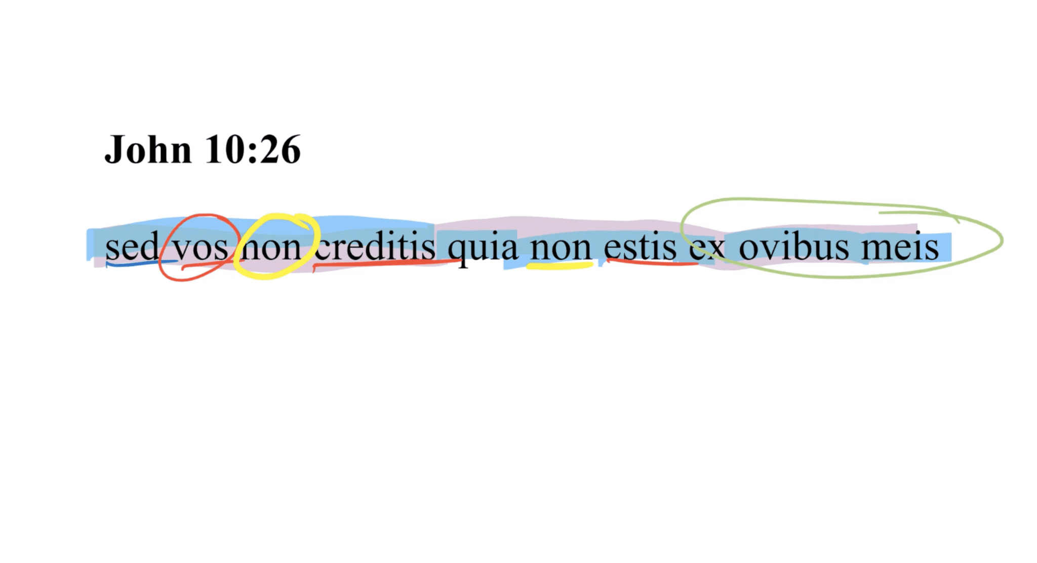 John 10:26 Latin Vulgate