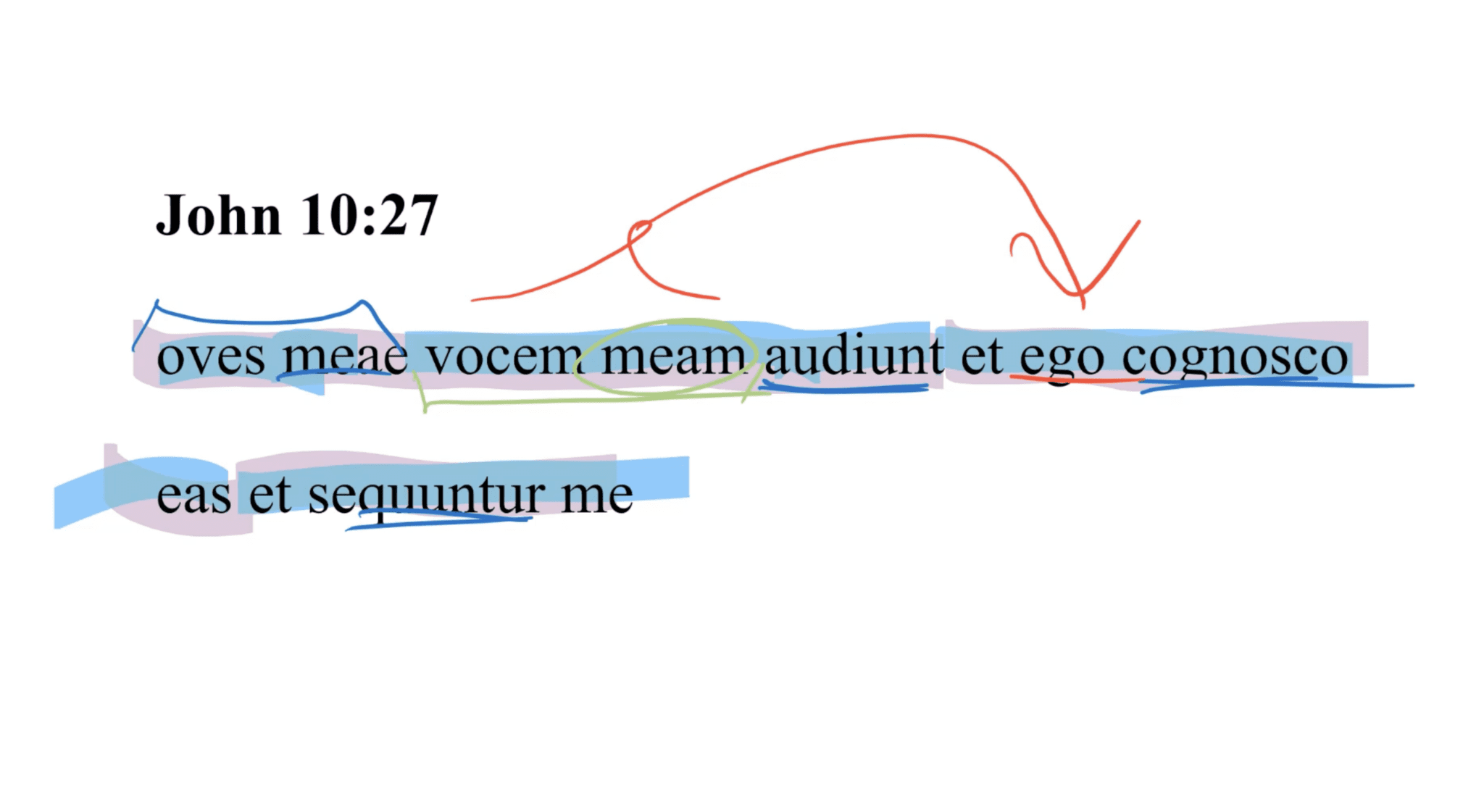 John 10:27 Latin Vulgate
