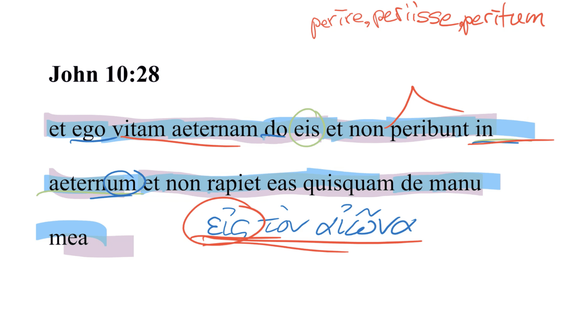 John 10:28 Latin Vulgate