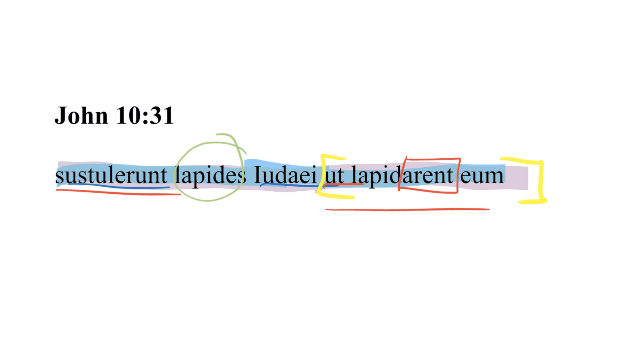 John 10:31 Latin Vulgate