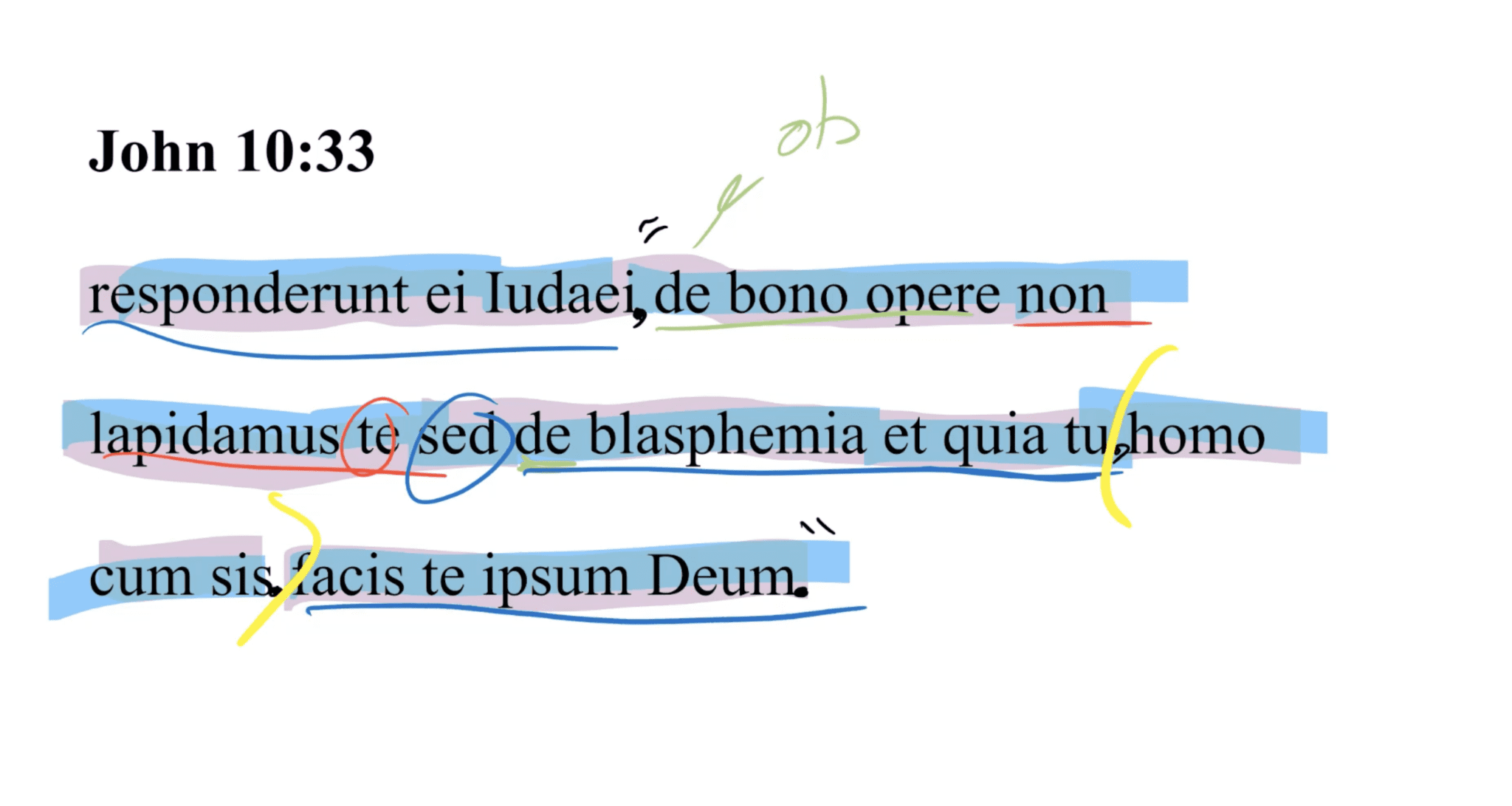 John 10:33 Latin Vulgate