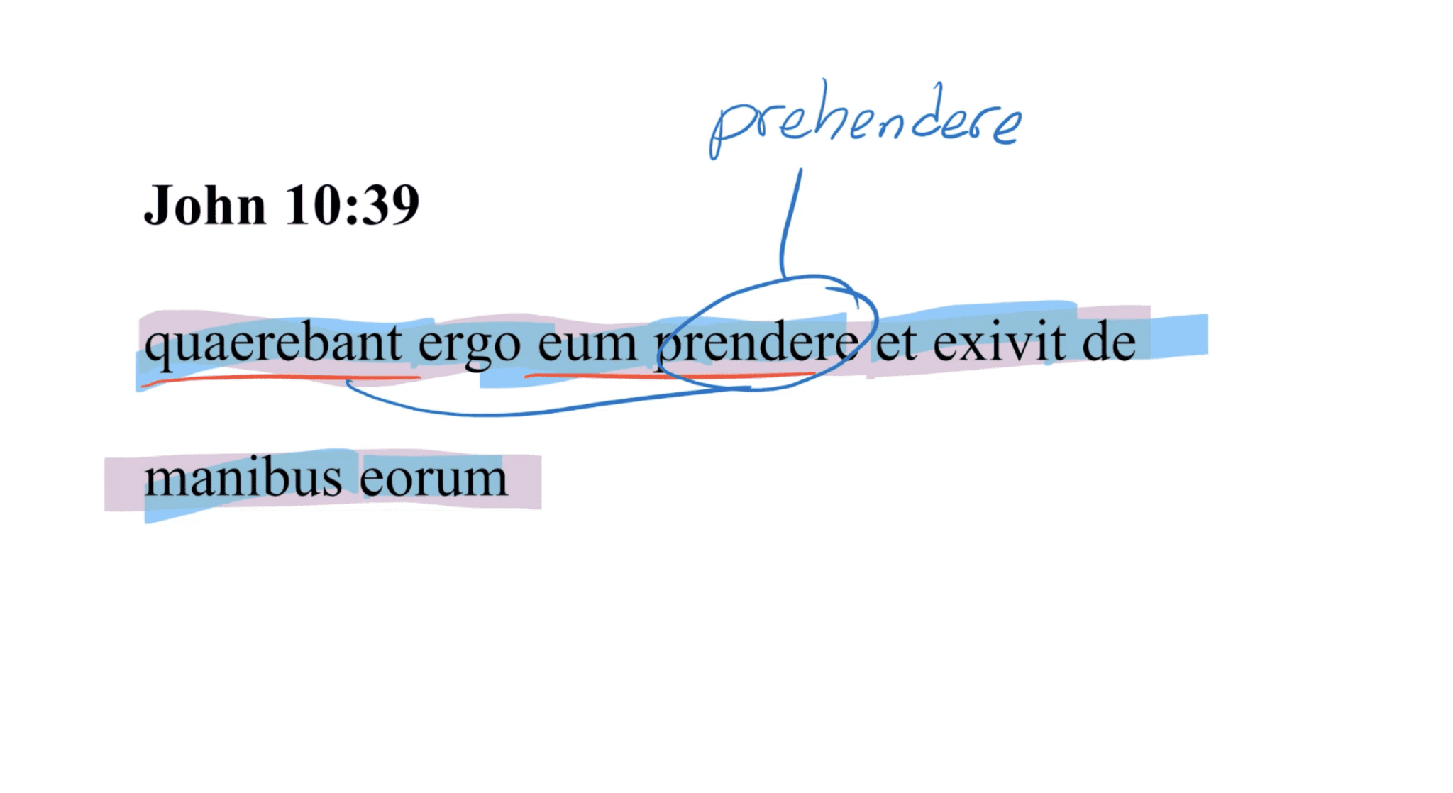 John 10:39 Latin Vulgate