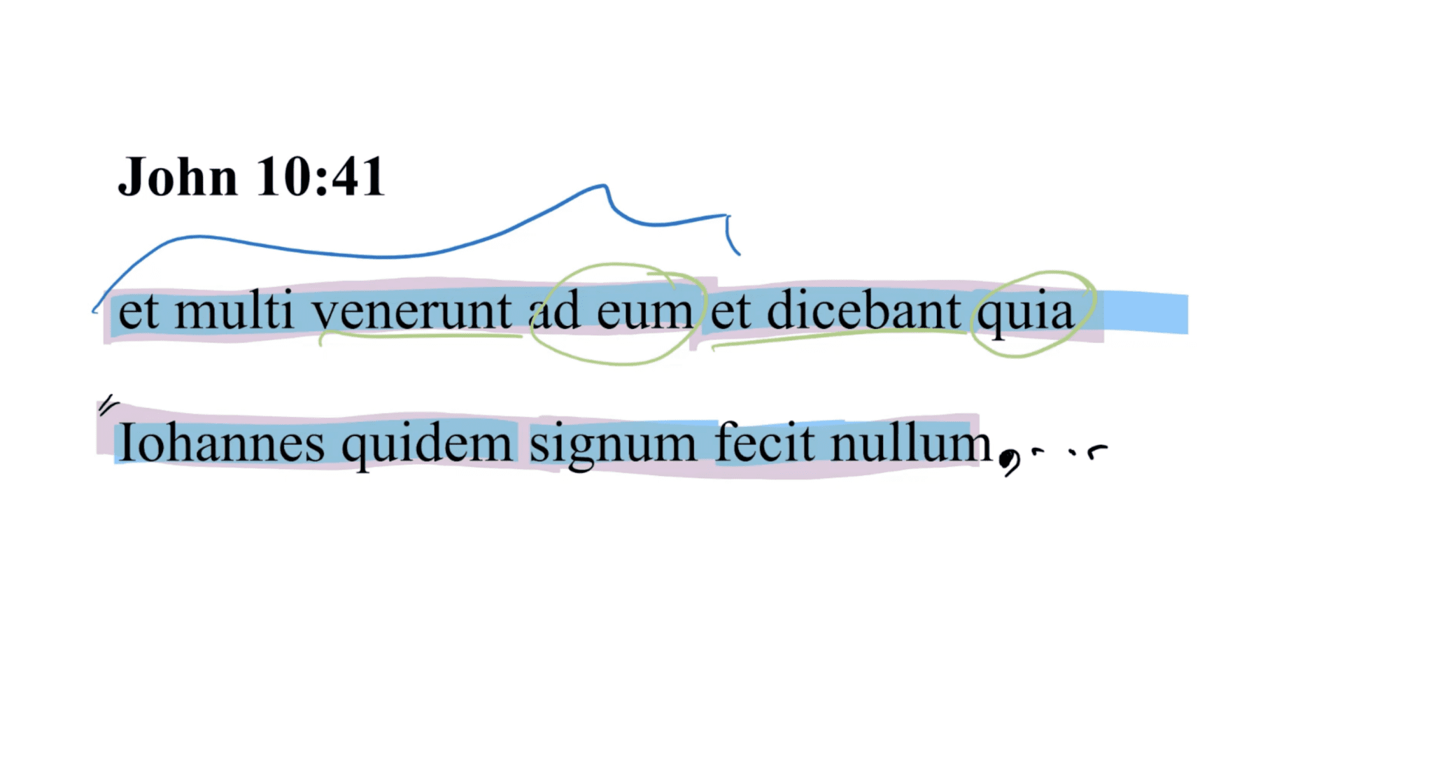 John 10:41 Latin Vulgate