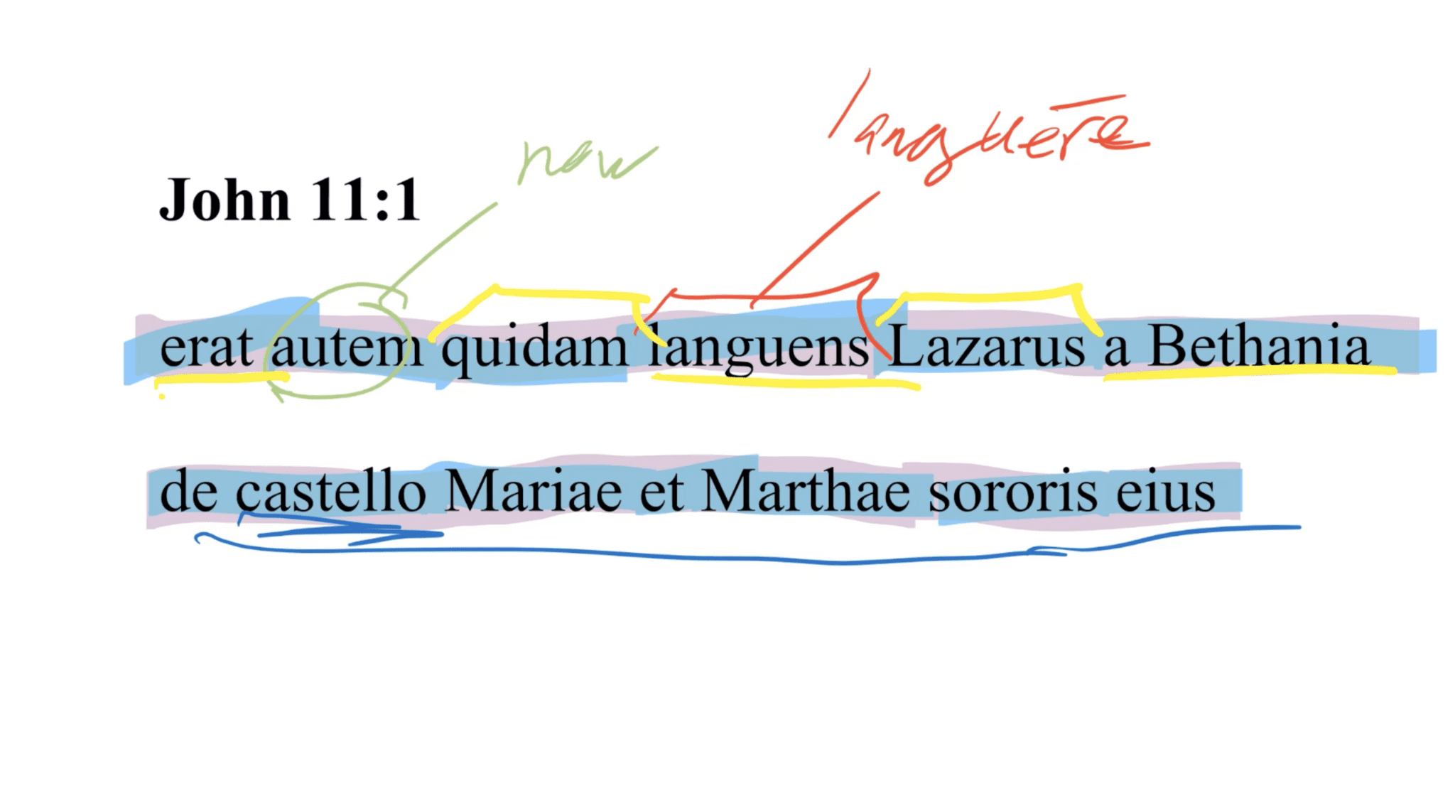 John 11:1 Latin Vulgate