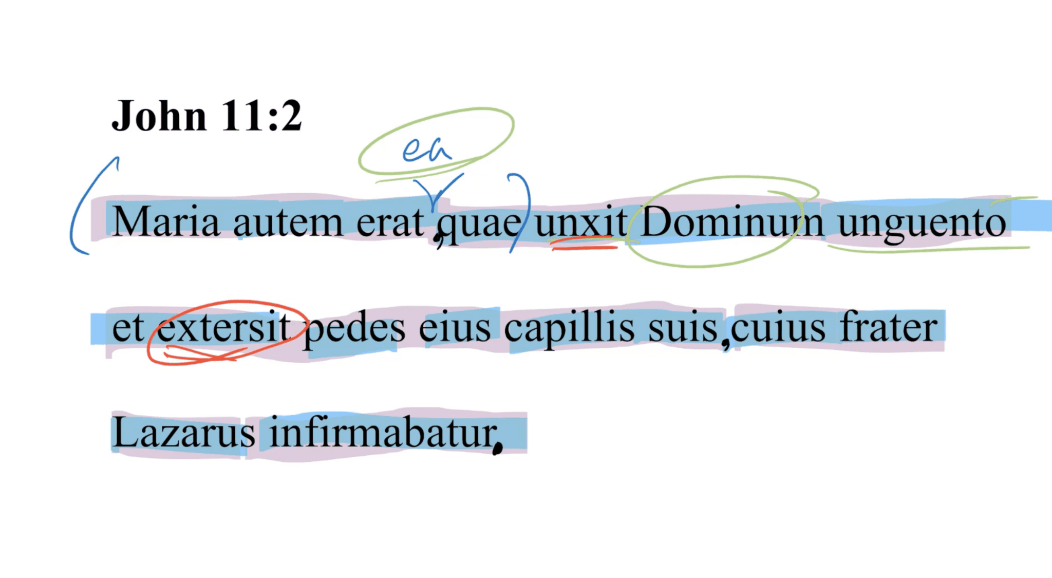 John 11:2 Latin Vulgate