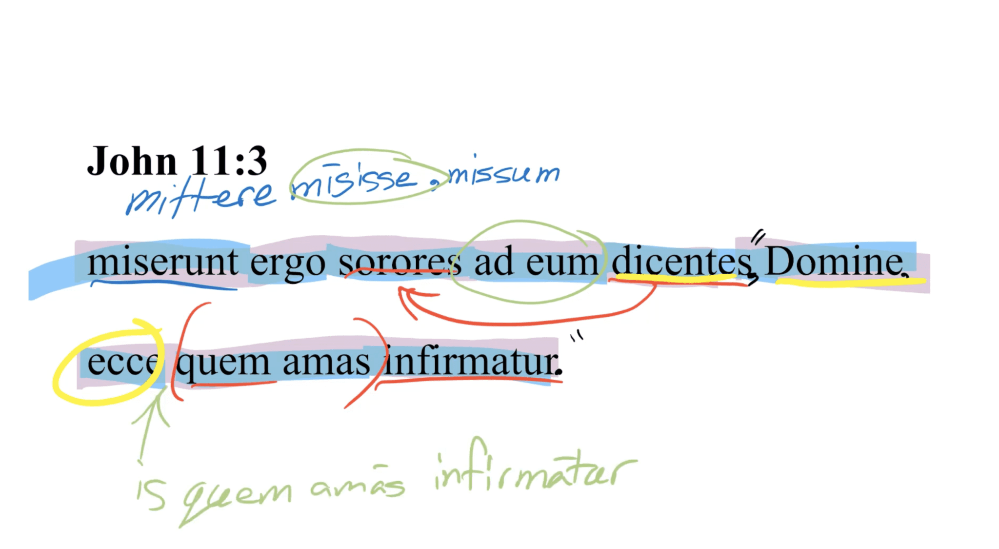 John 11:3 Latin Vulgate
