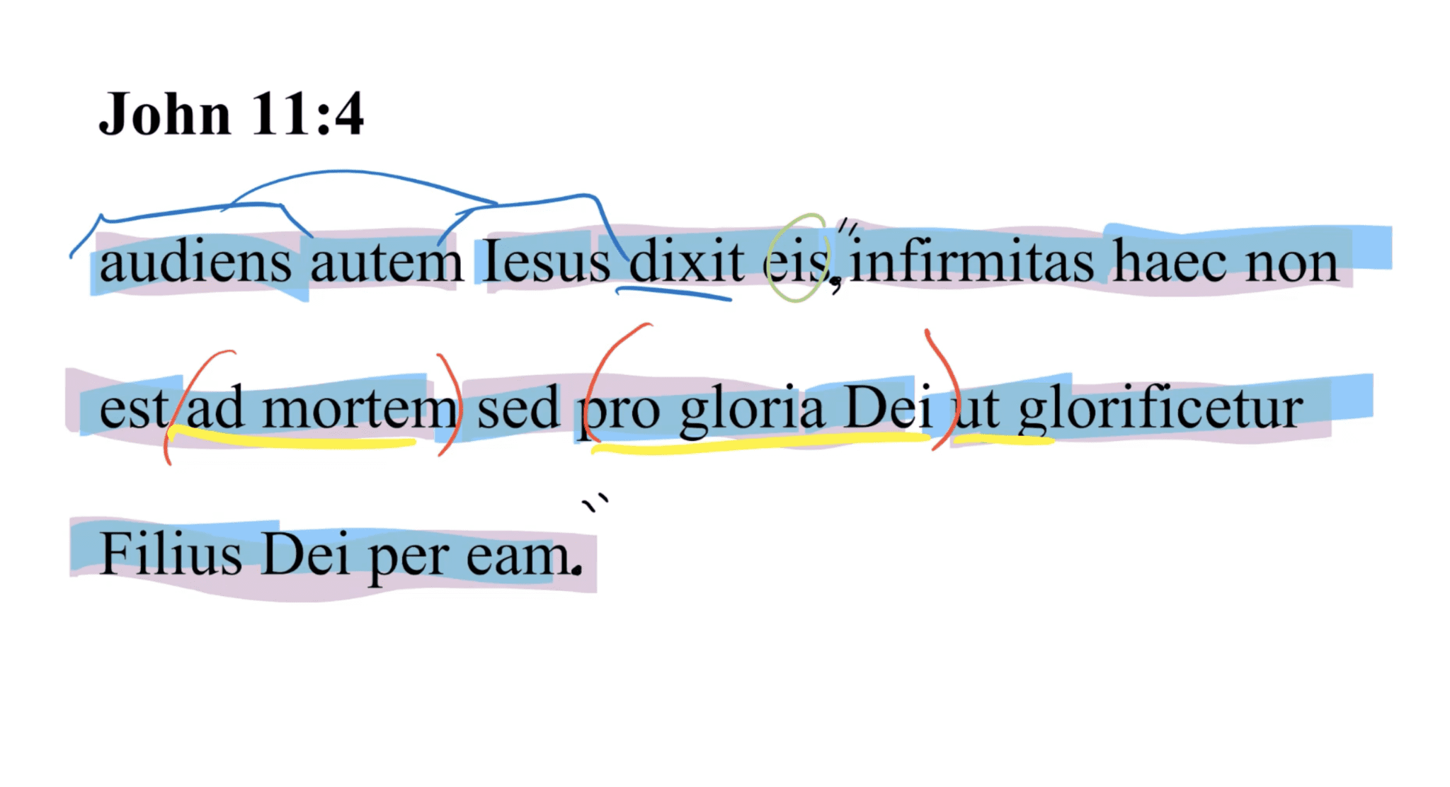 John 11:4 Latin Vulgate