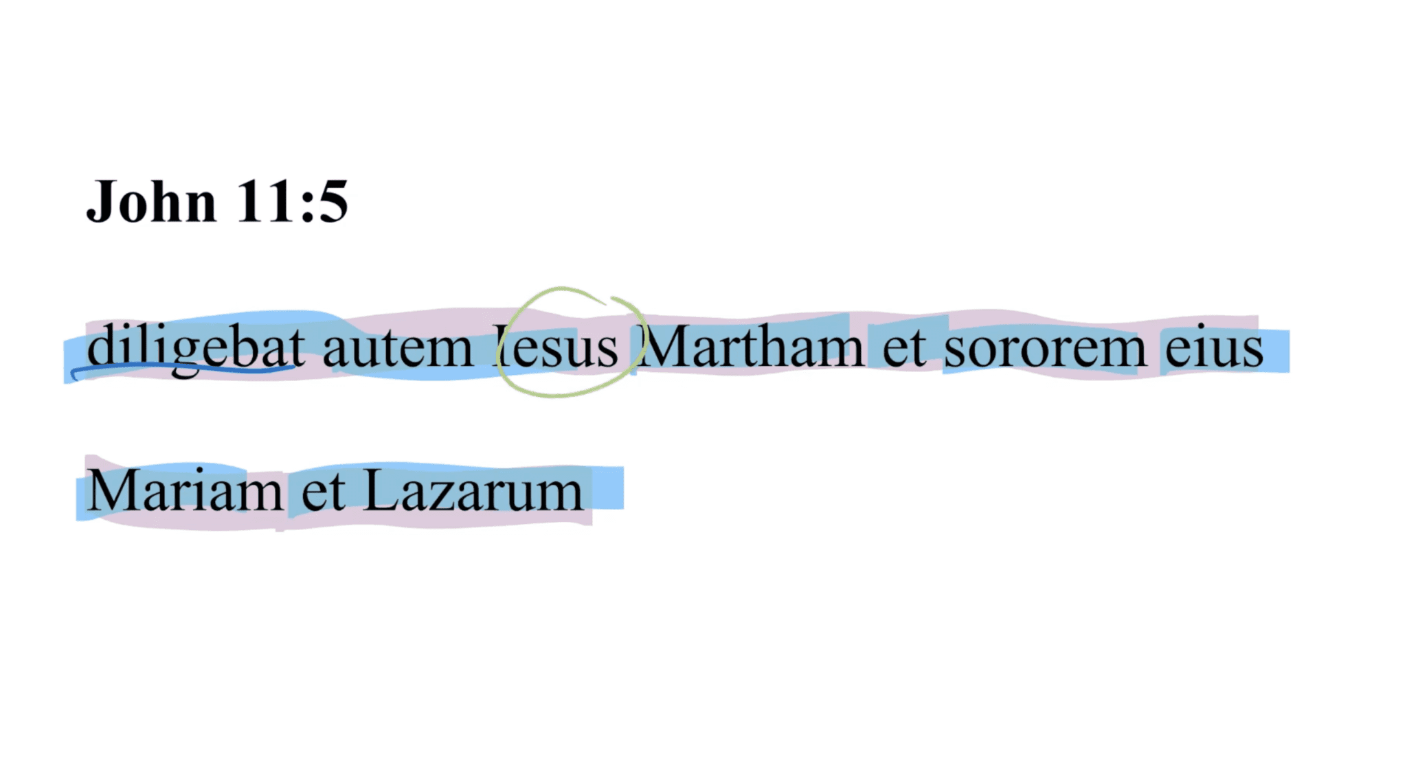 John 11:5 Latin Vulgate