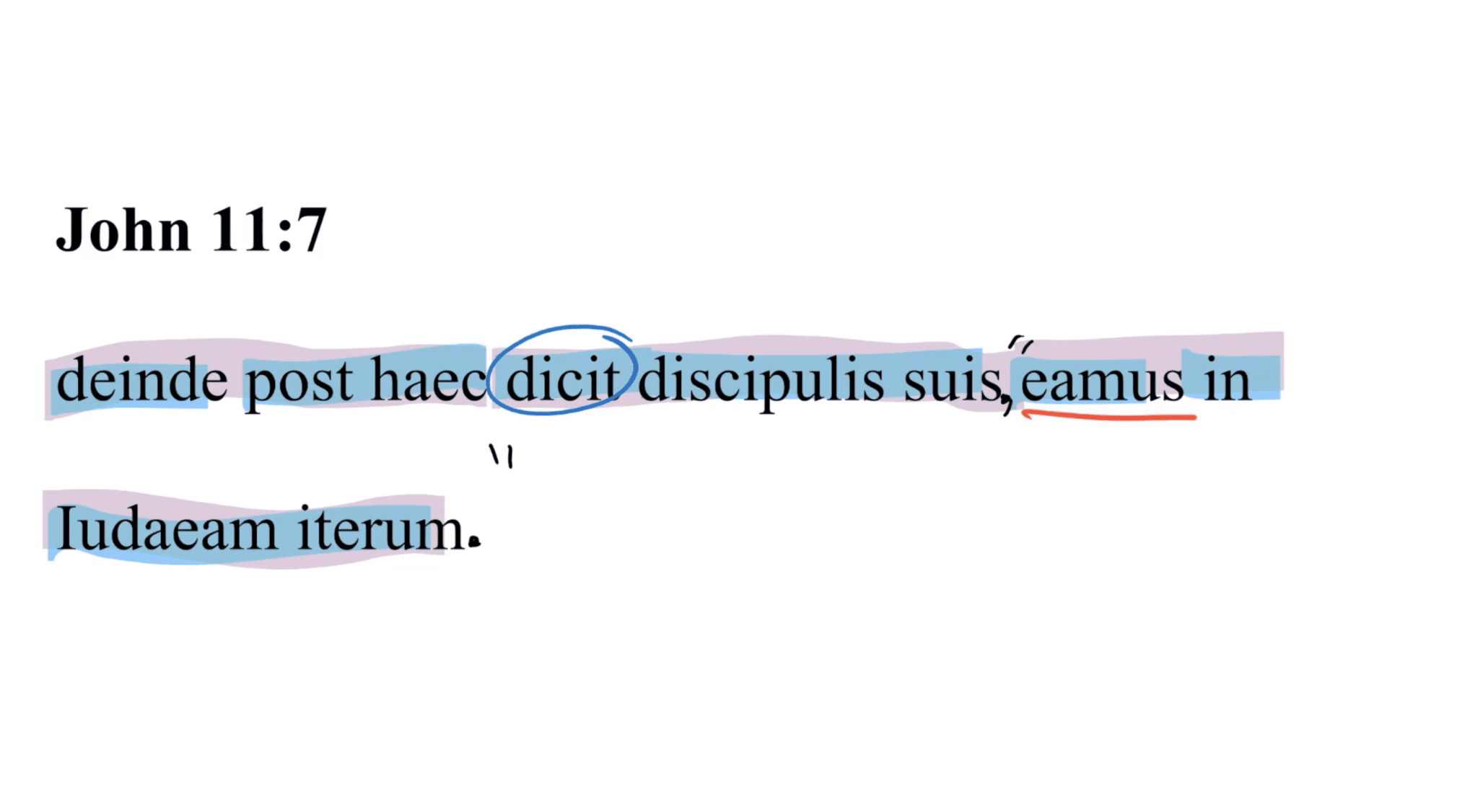 John 11:7 Latin Vulgate