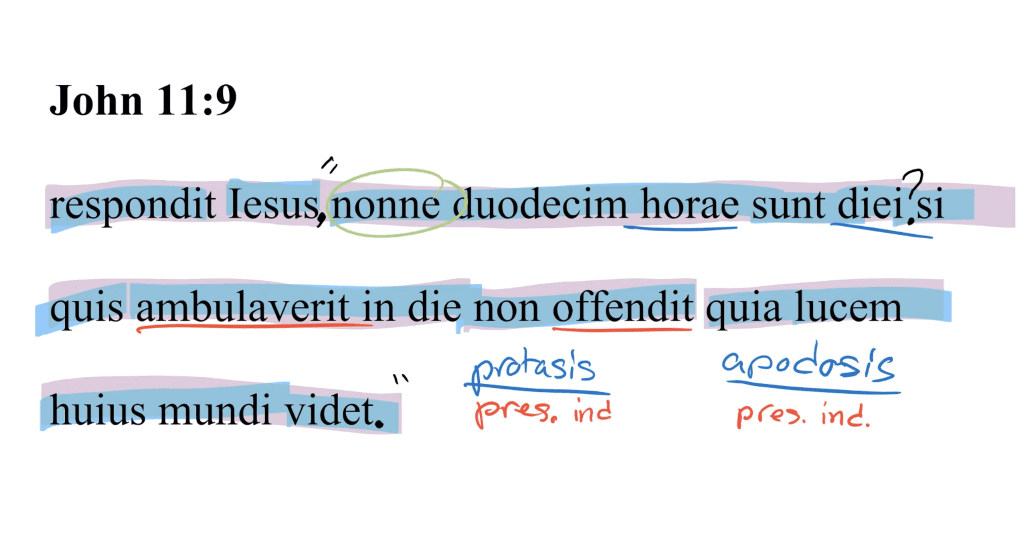 John 11:9 Latin Vulgate