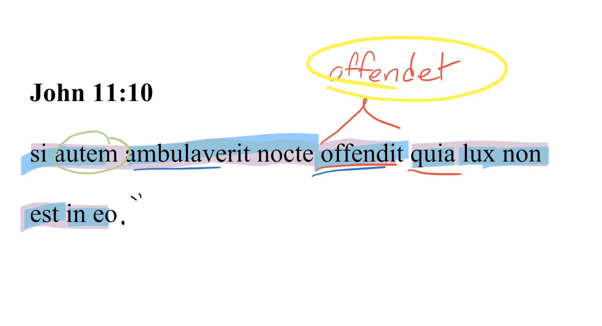 John 11:10 Latin Vulgate