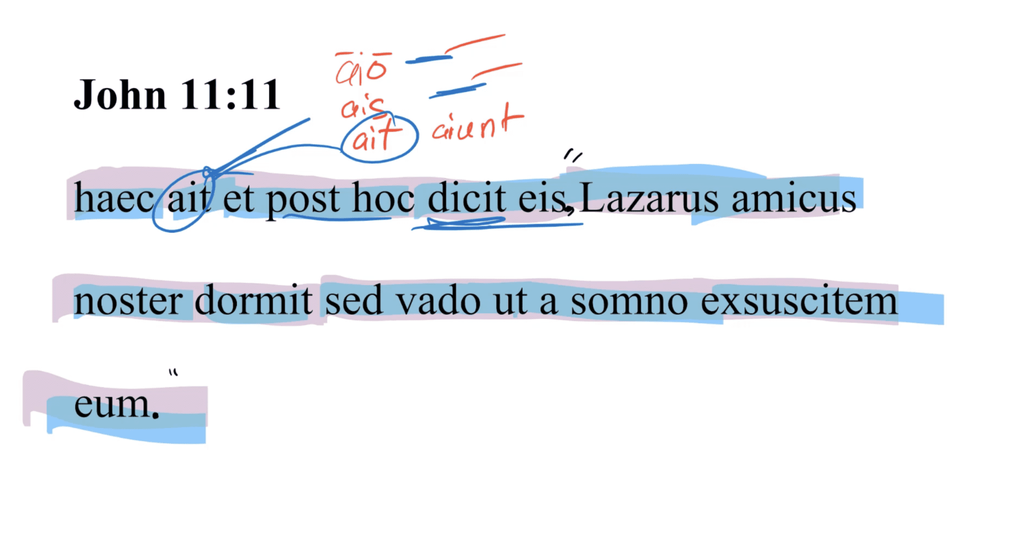 John 11:11 Latin Vulgate