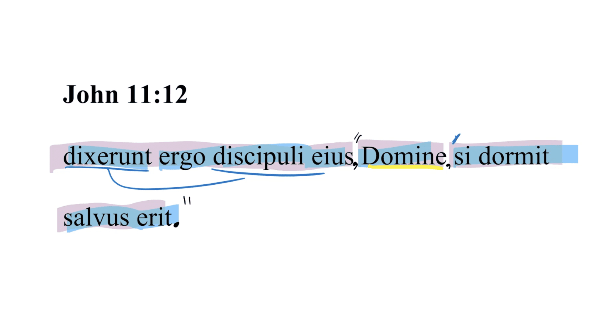 John 11:12 Latin Vulgate