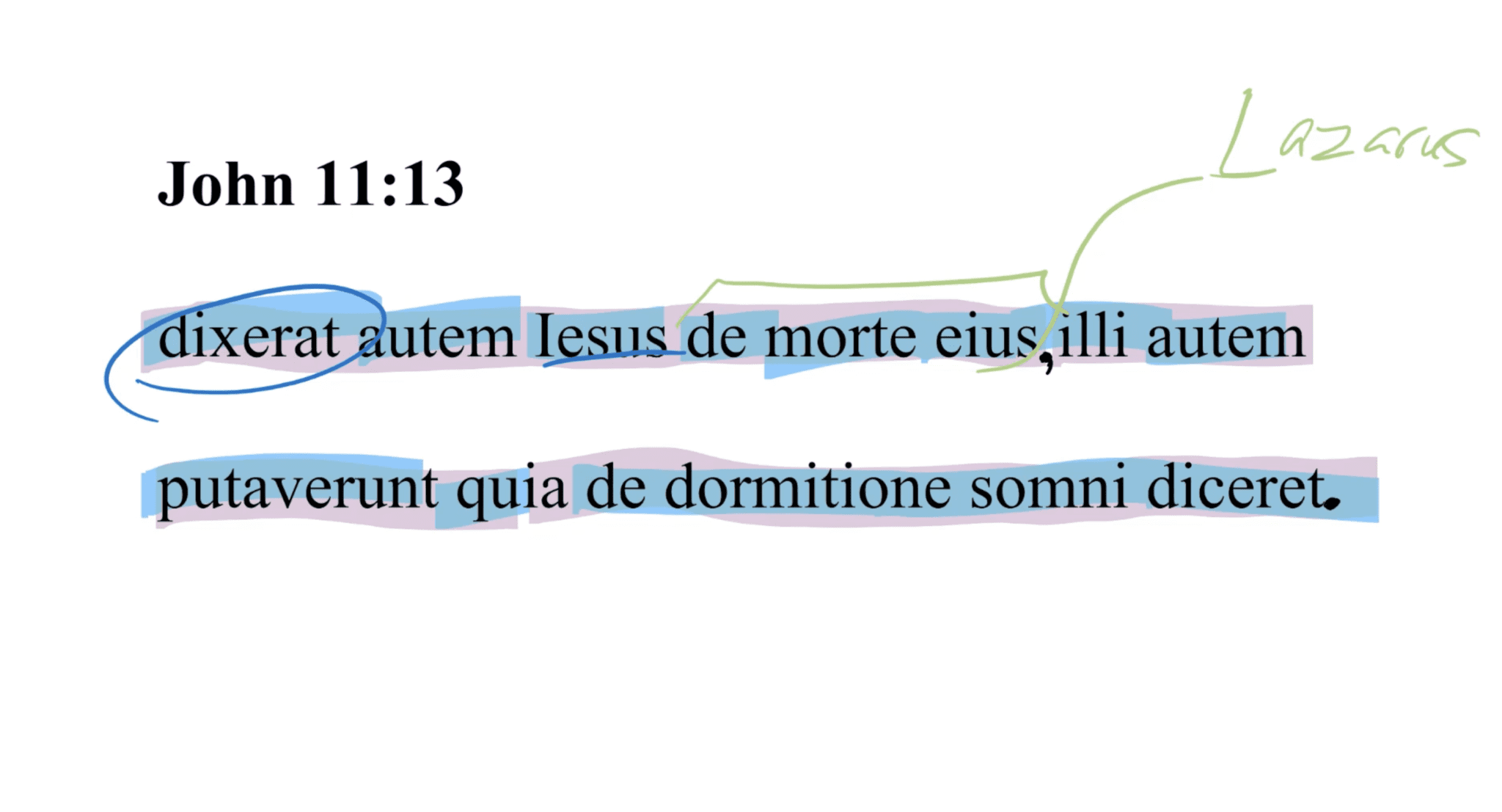 John 11:13 Latin Vulgate