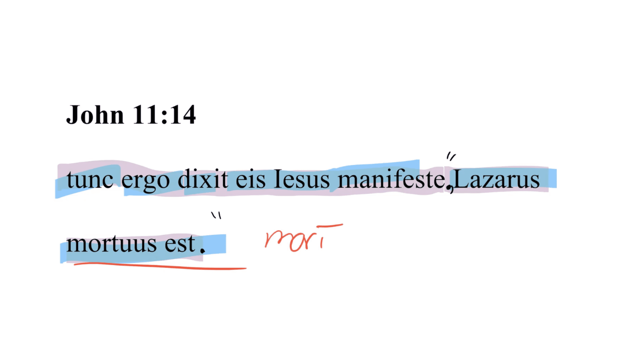 John 11:14 Latin Vulgate