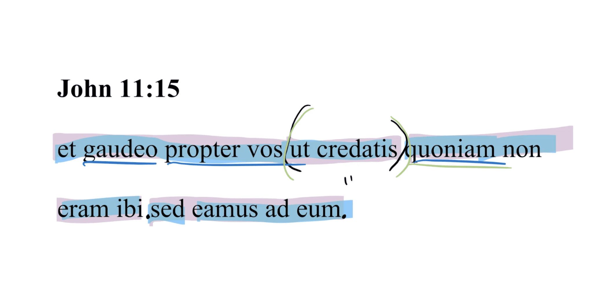 John 11:15 Latin Vulgate