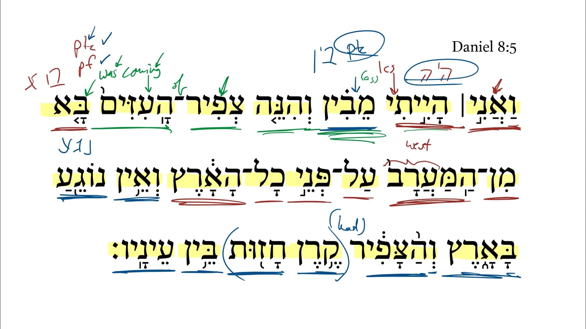 Daniel 8:5