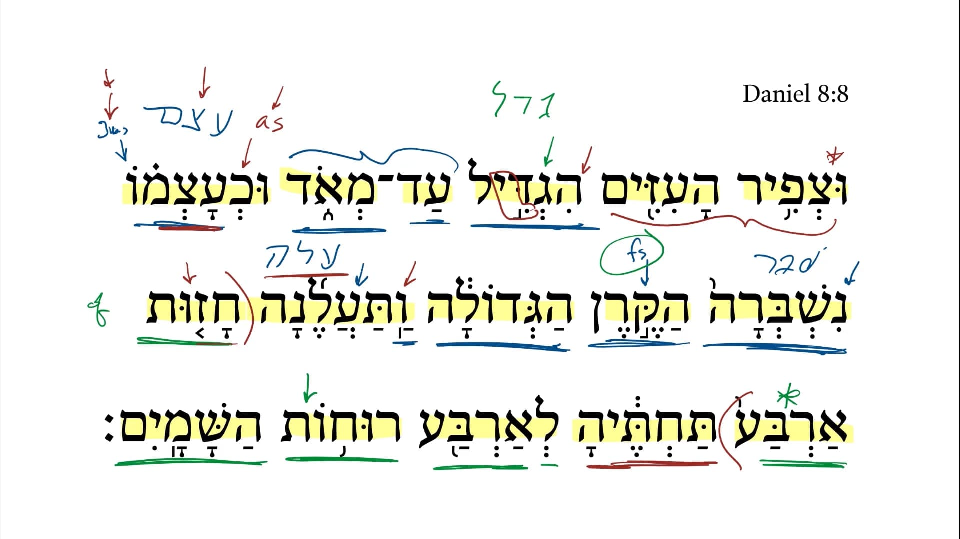 Daniel 8:8