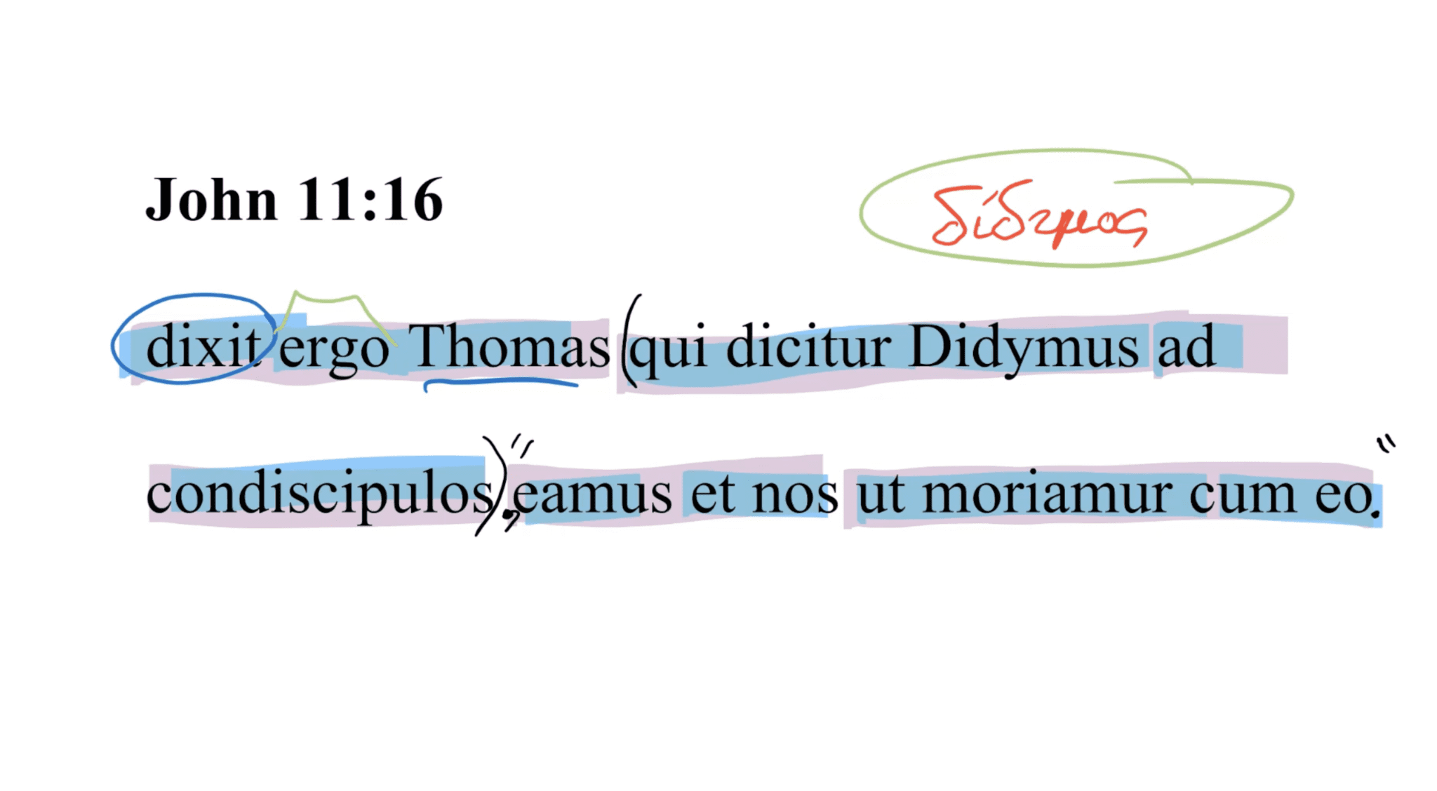 John 11:16 Latin Vulgate