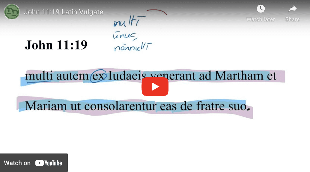 John 11:19 Latin Vulgate
