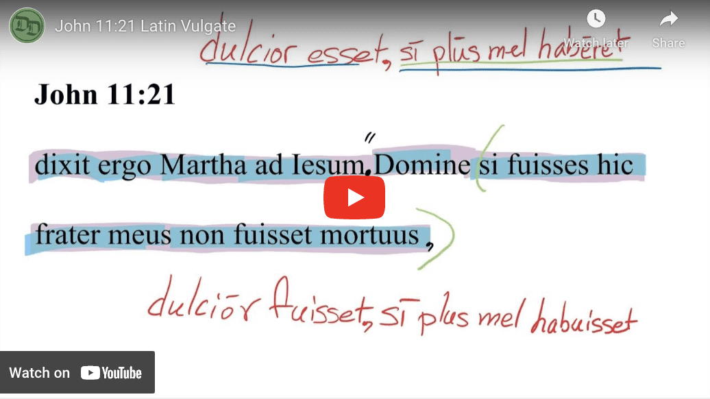 John 11:21 Latin Vulgate