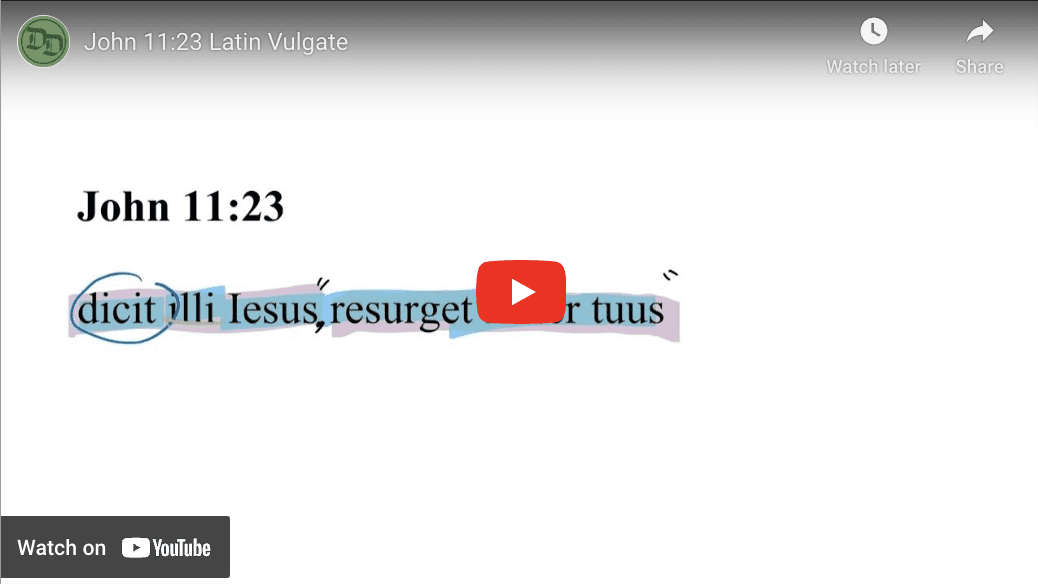 John 11:23 Latin Vulgate