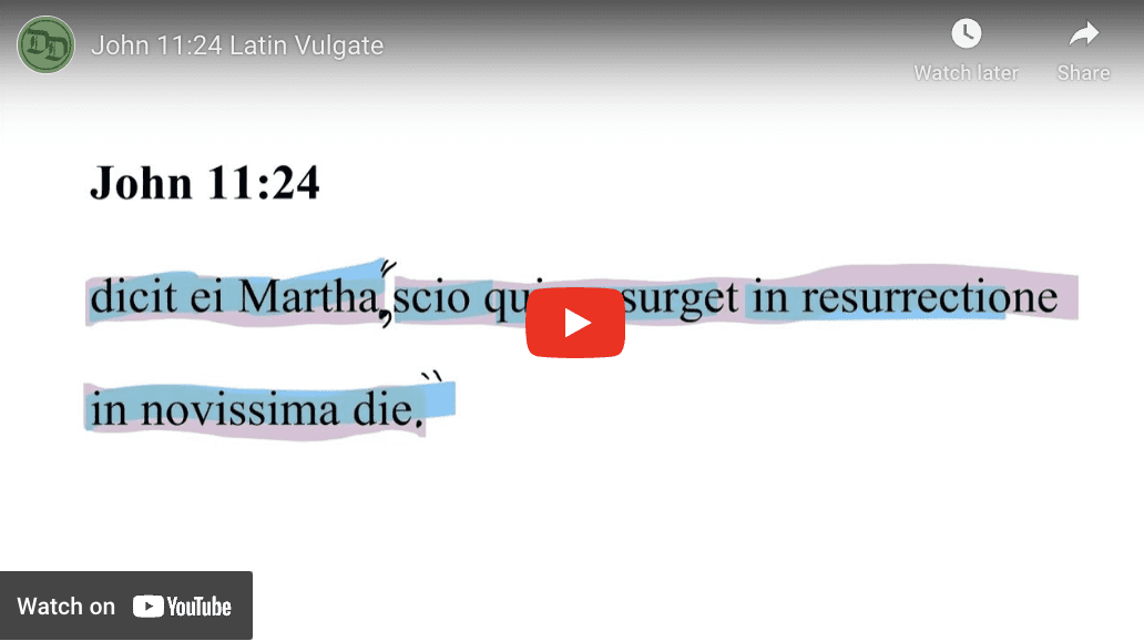 John 11:24 Latin Vulgate