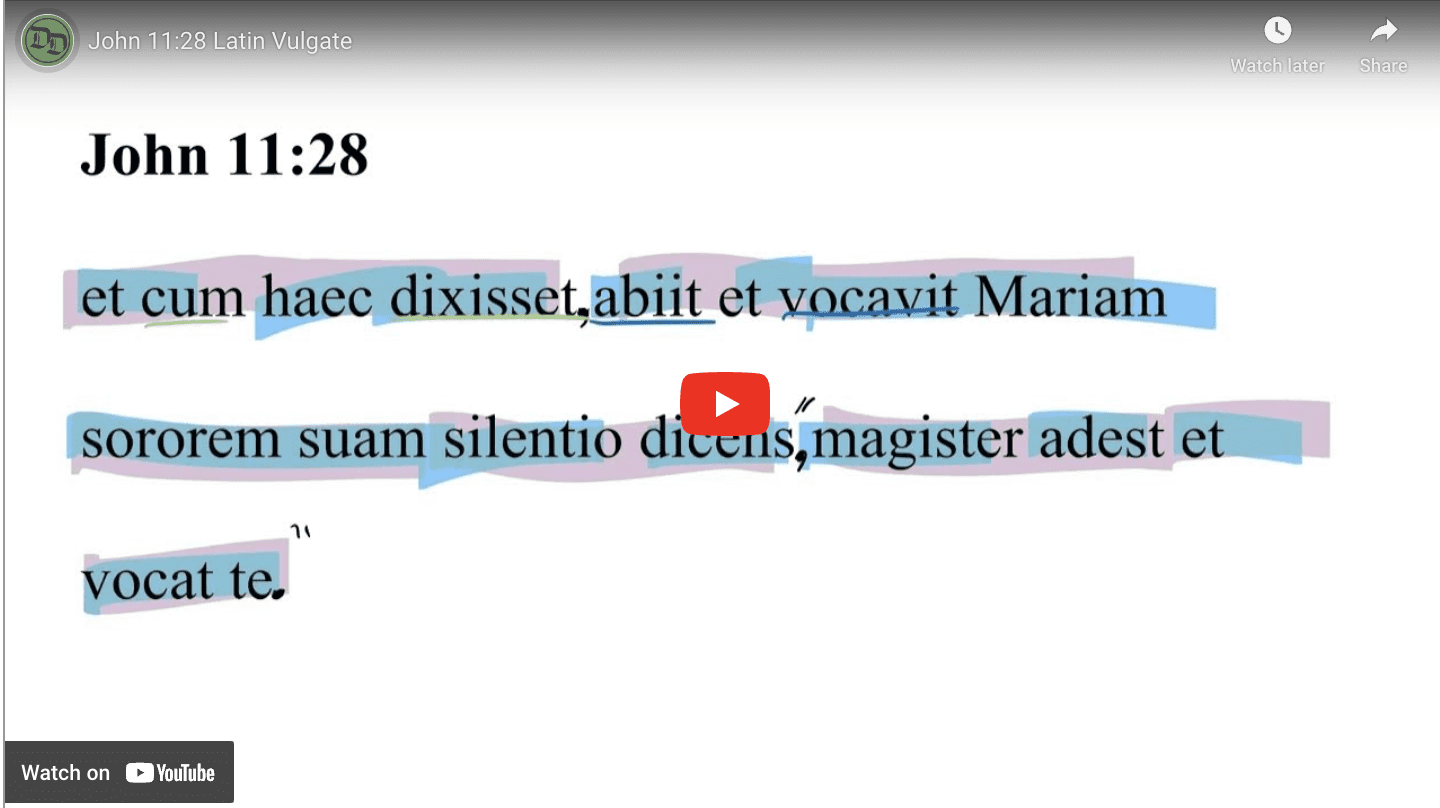 John 11:28 Latin Vulgate