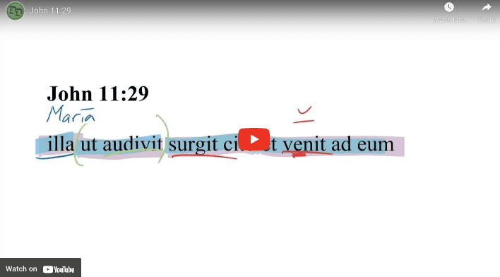 John 11:29 Latin Vulgate