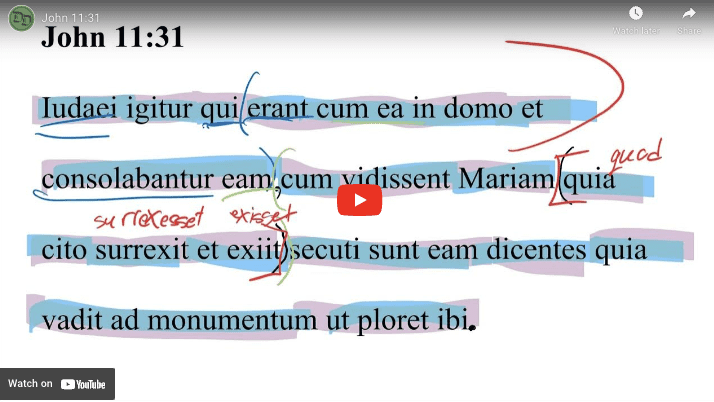 John 11:31 Latin Vulgate