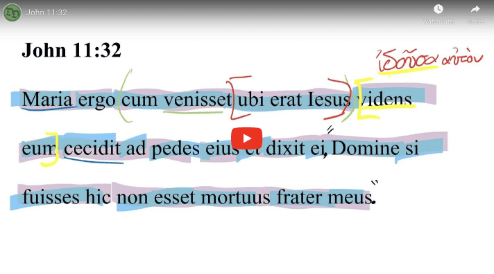 John 11:32 Latin Vulgate