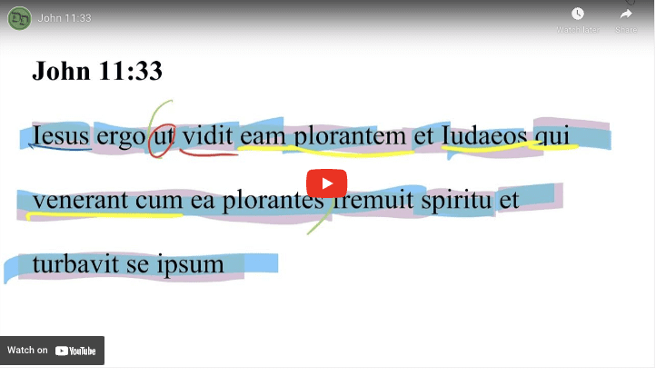 John 11:33 Latin Vulgate