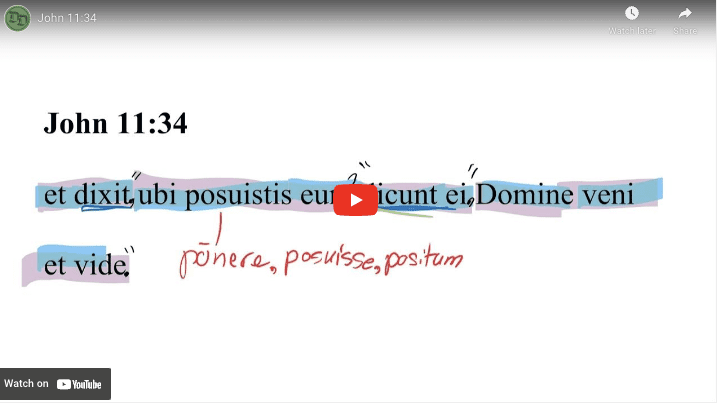 John 11:34 Latin Vulgate