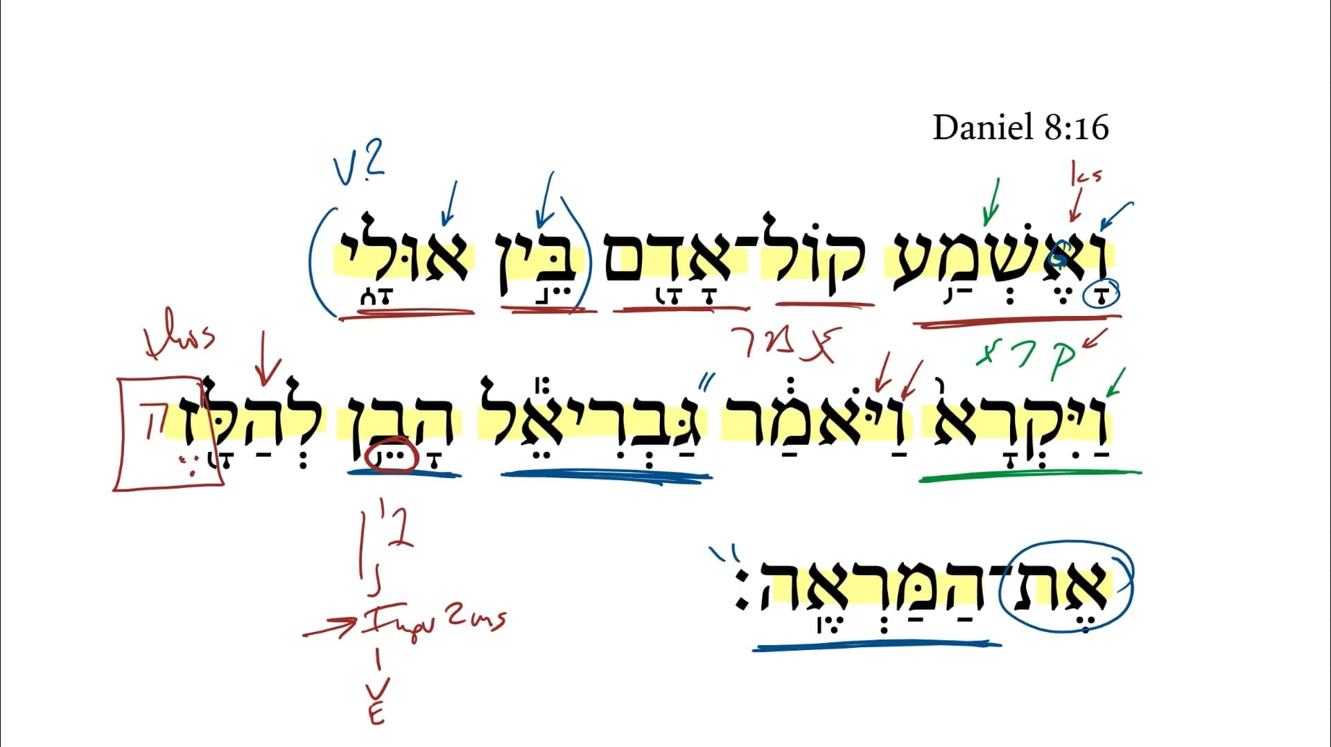 Daniel 8:16
