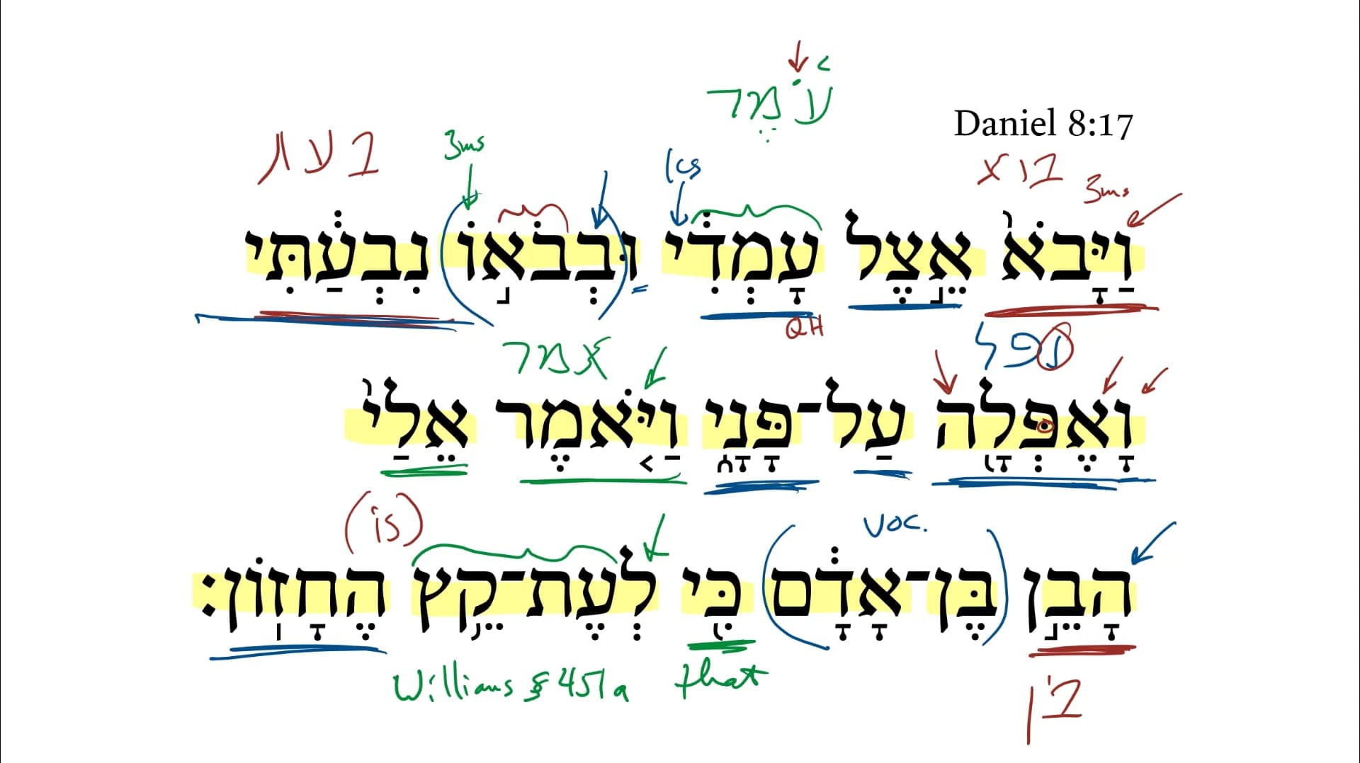 Daniel 8:17