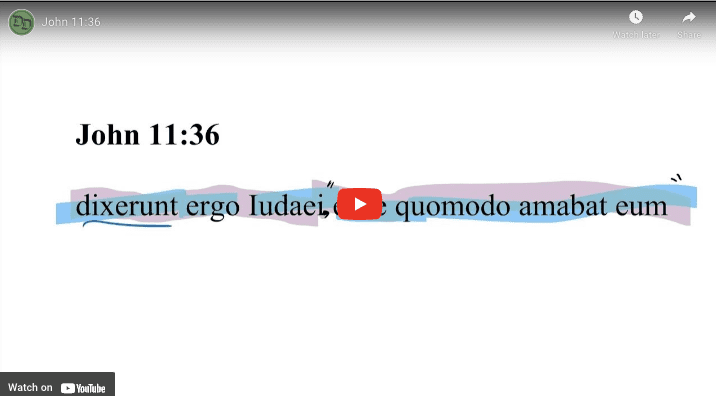 John 11:36 Latin Vulgate