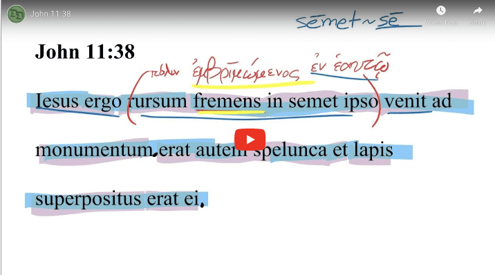 John 11:38 Latin Vulgate