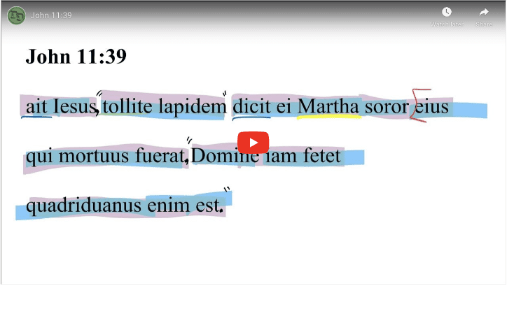 John 11:39 Latin Vulgate