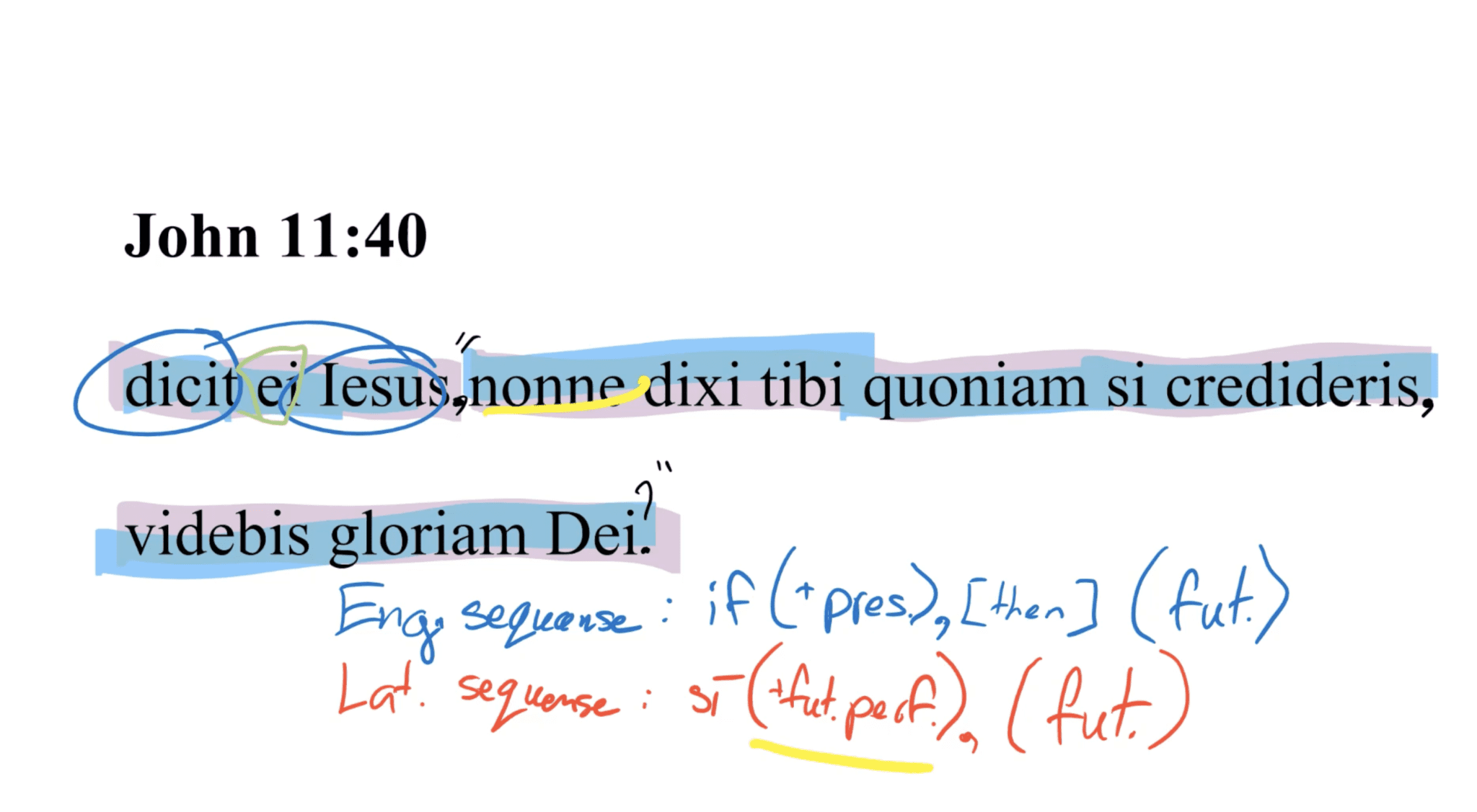 John 11:40 Latin Vulgate