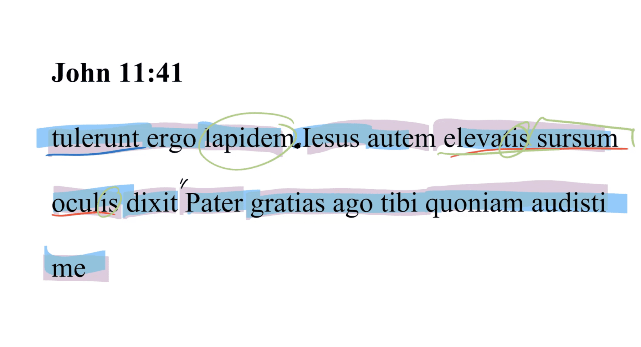 John 11:41 Latin Vulgate