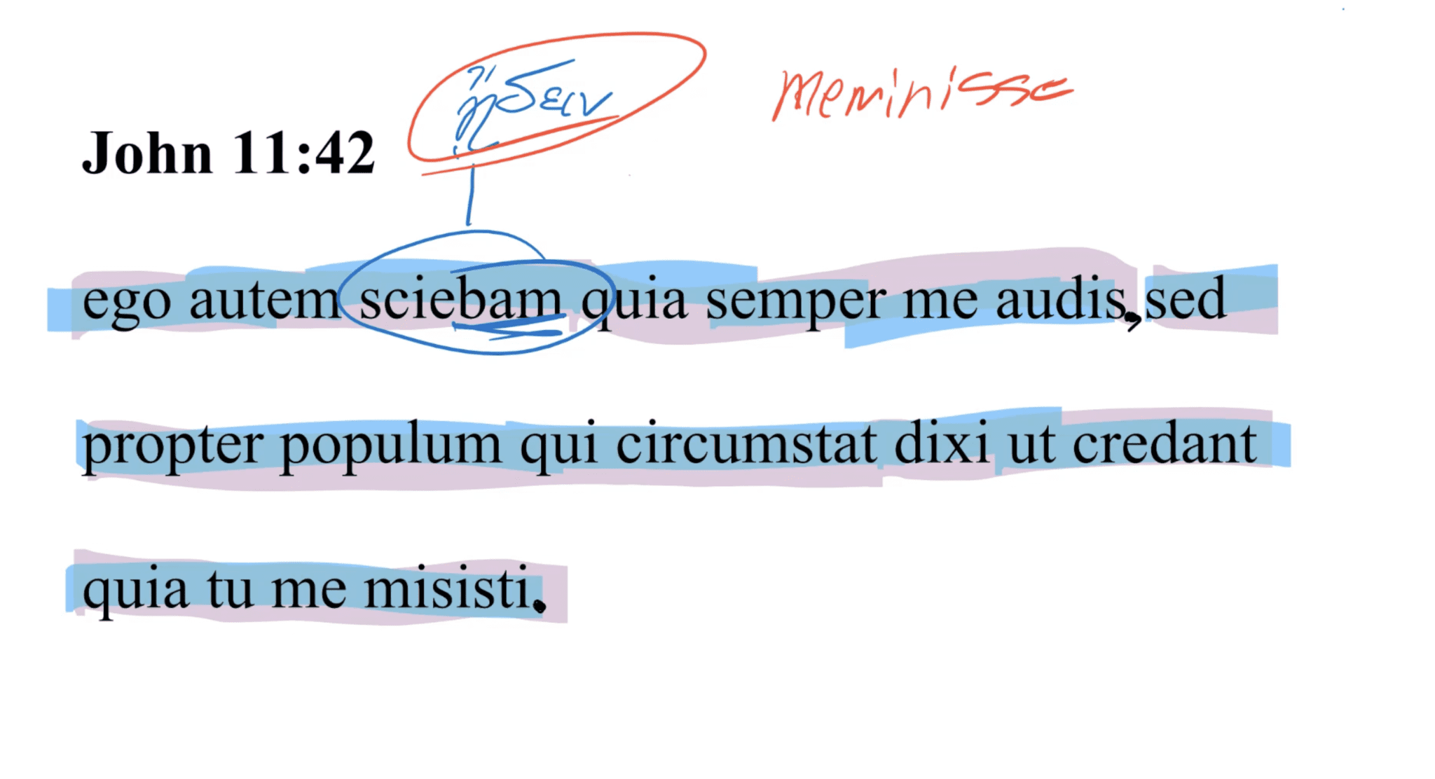 John 11:42 Latin Vulgate