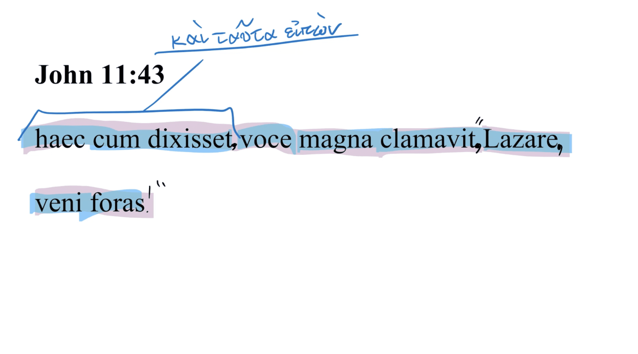 John 11:43 Latin Vulgate