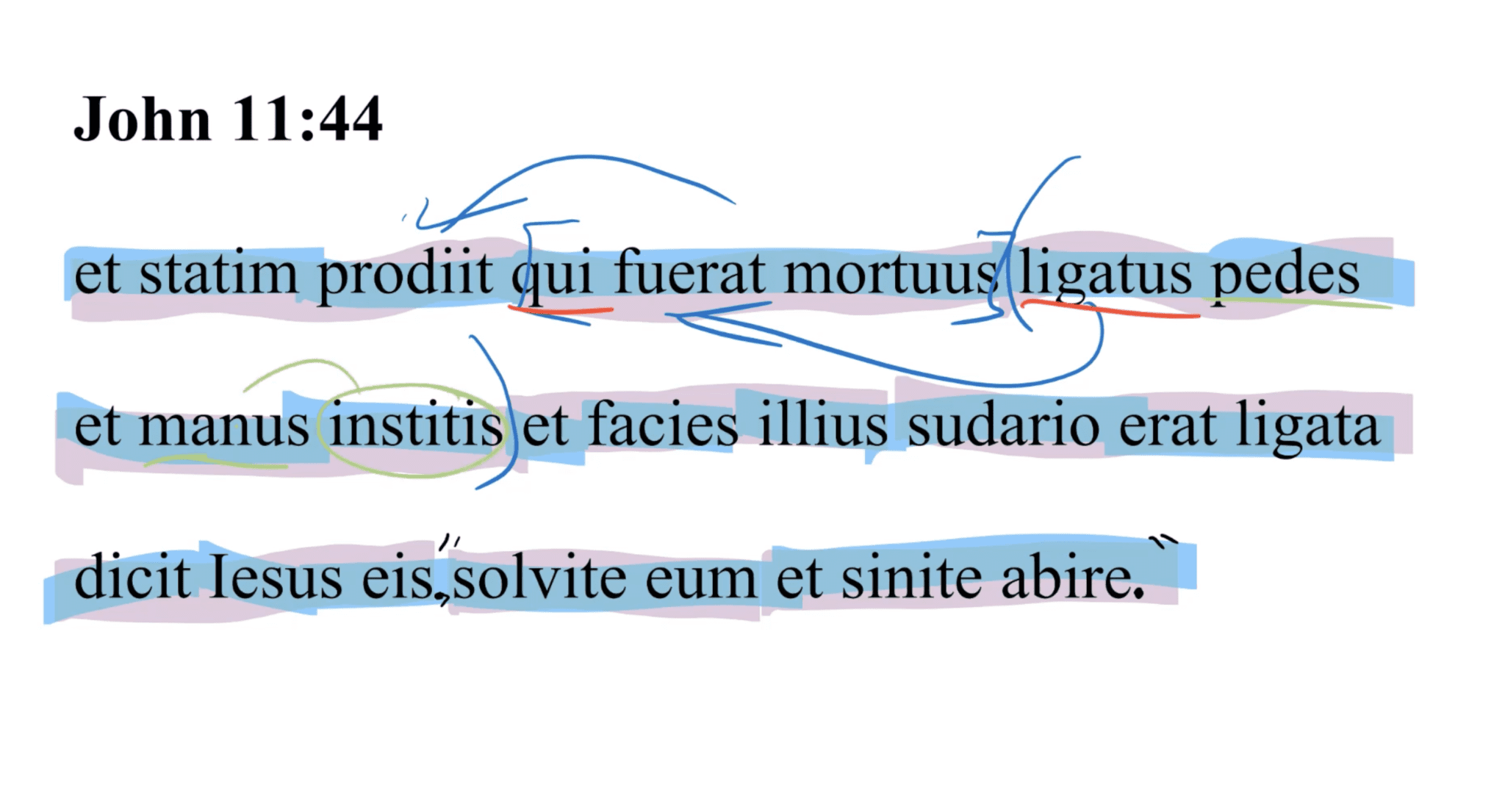 John 11:44 Latin Vulgate