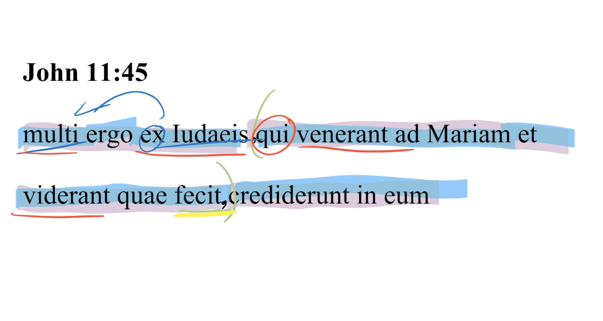 John 11:45 Latin Vulgate