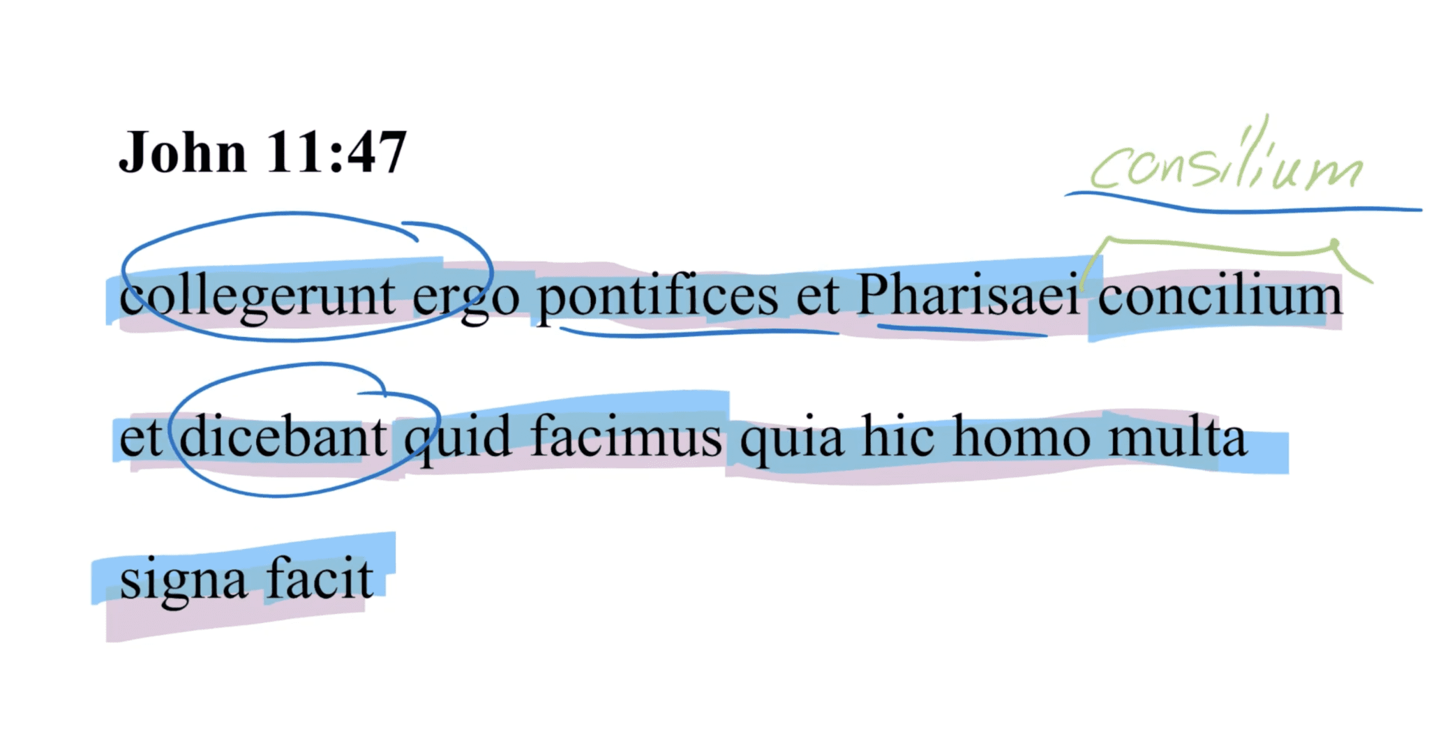 John 11:47 Latin Vulgate