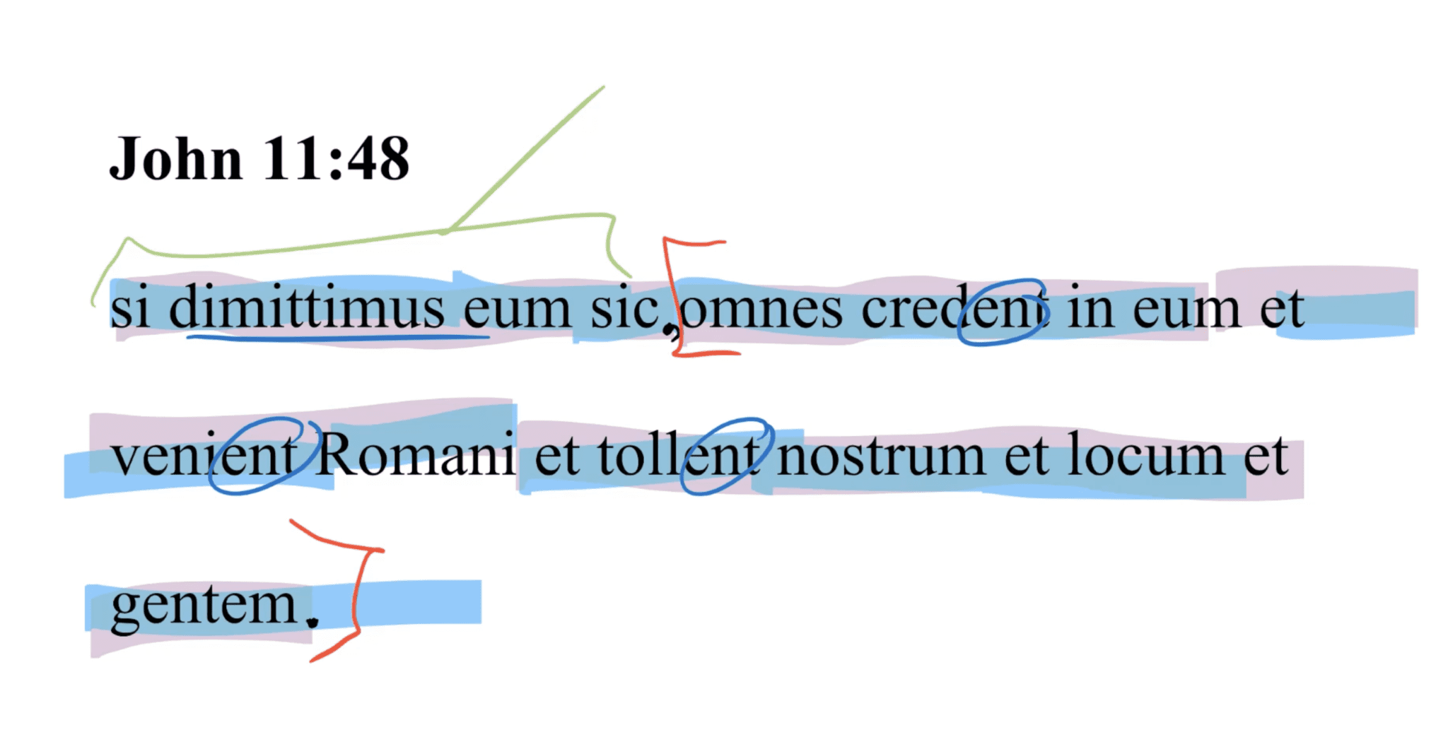 John 11:48 Latin Vulgate