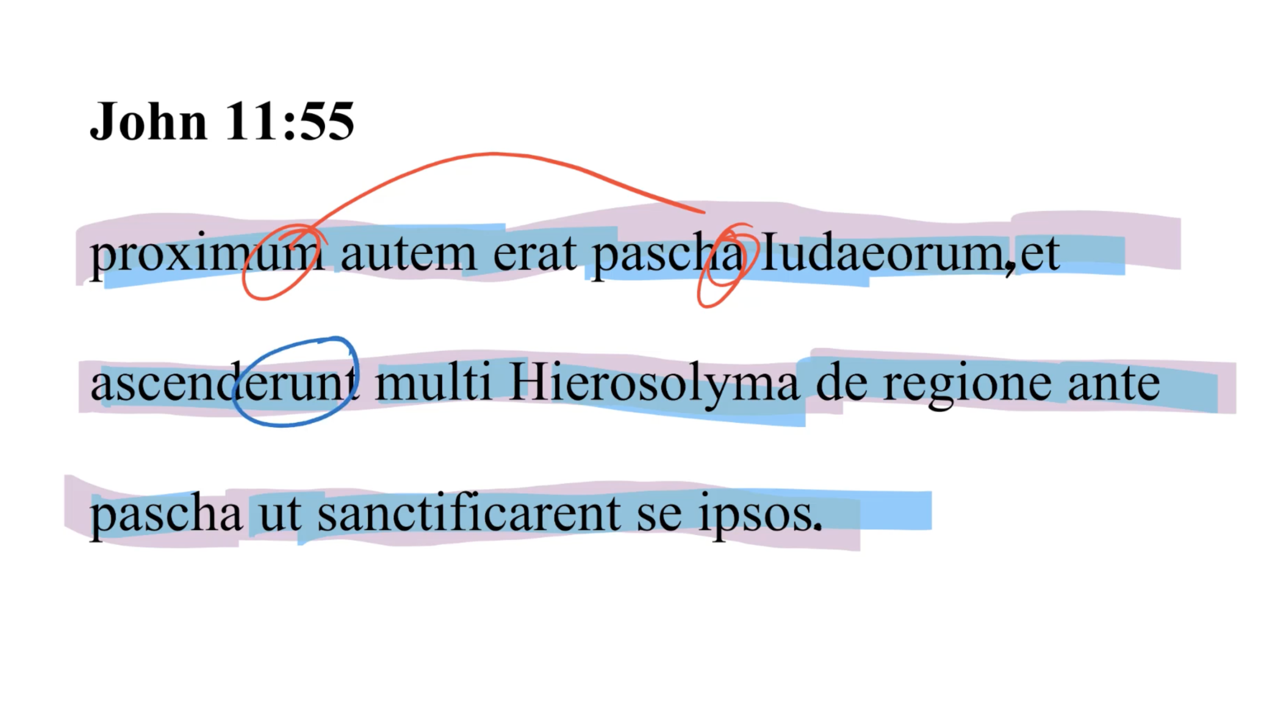 John 11:55 Latin Vulgate