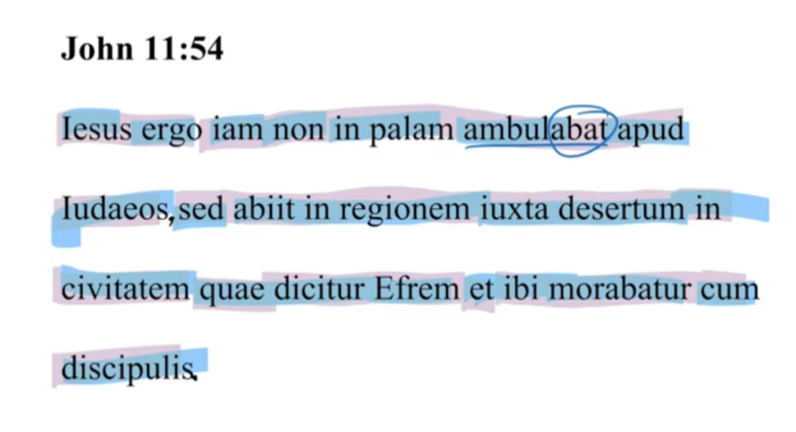John 11:54 Latin Vulgate