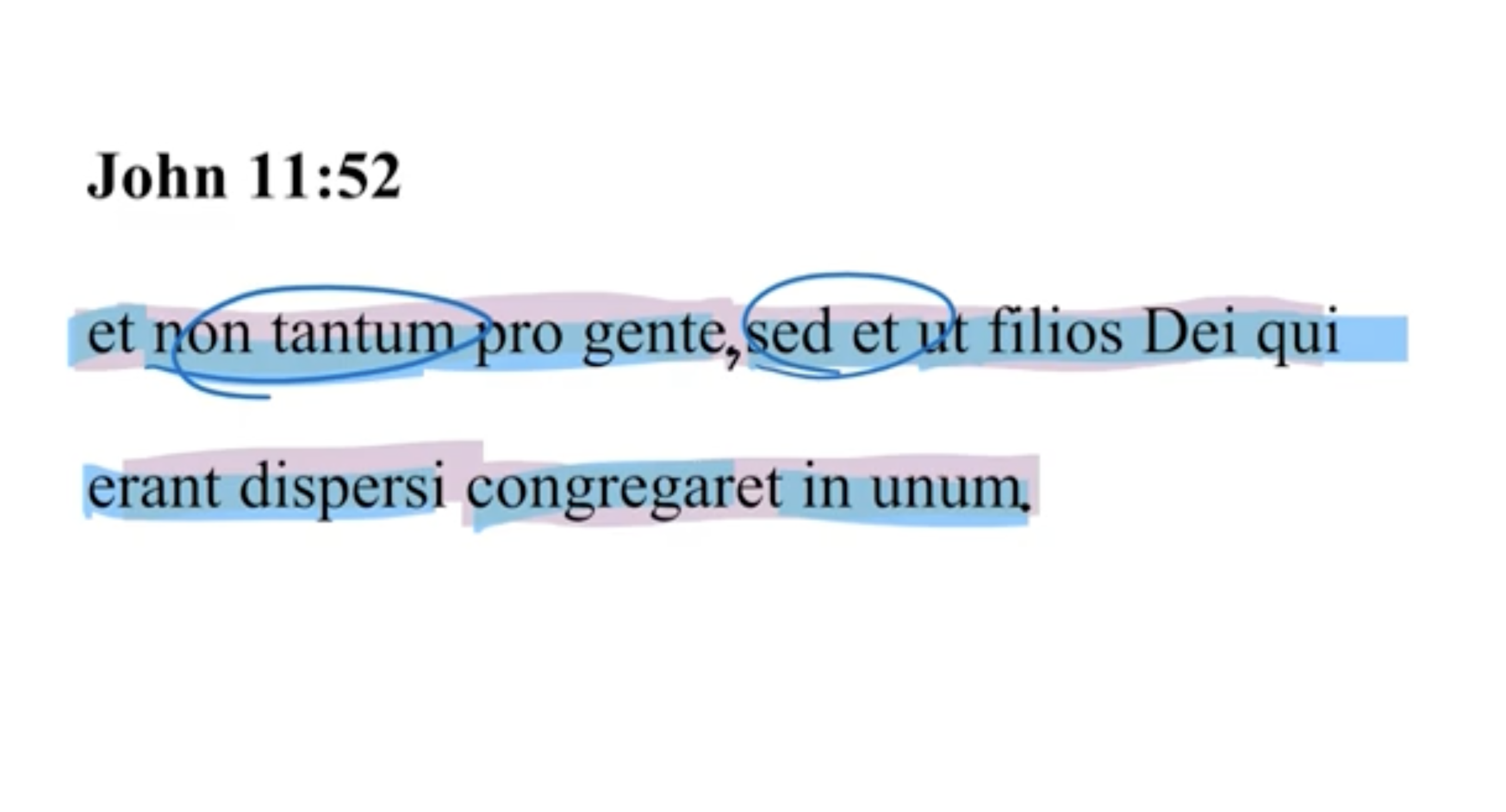 John 11:52 Latin Vulgate