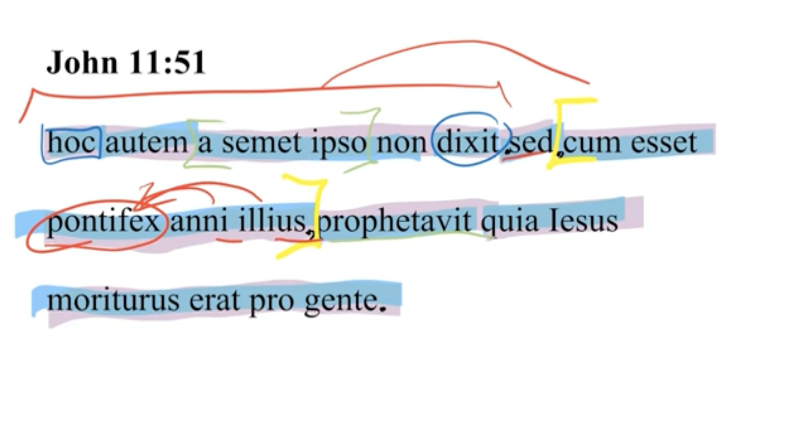 John 11:51 Latin Vulgate